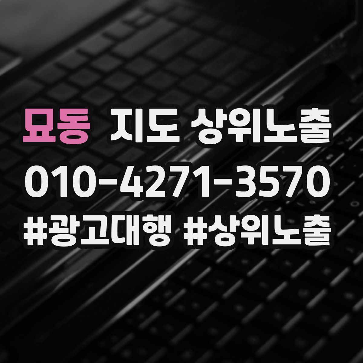 묘동 지도 상위 노출
