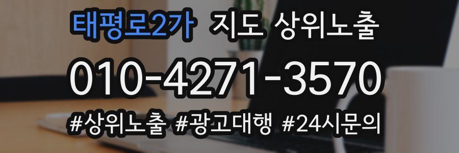 태평로2가 지도 상위 노출