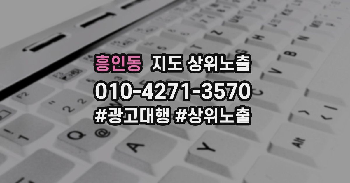 흥인동 지도 상위 노출