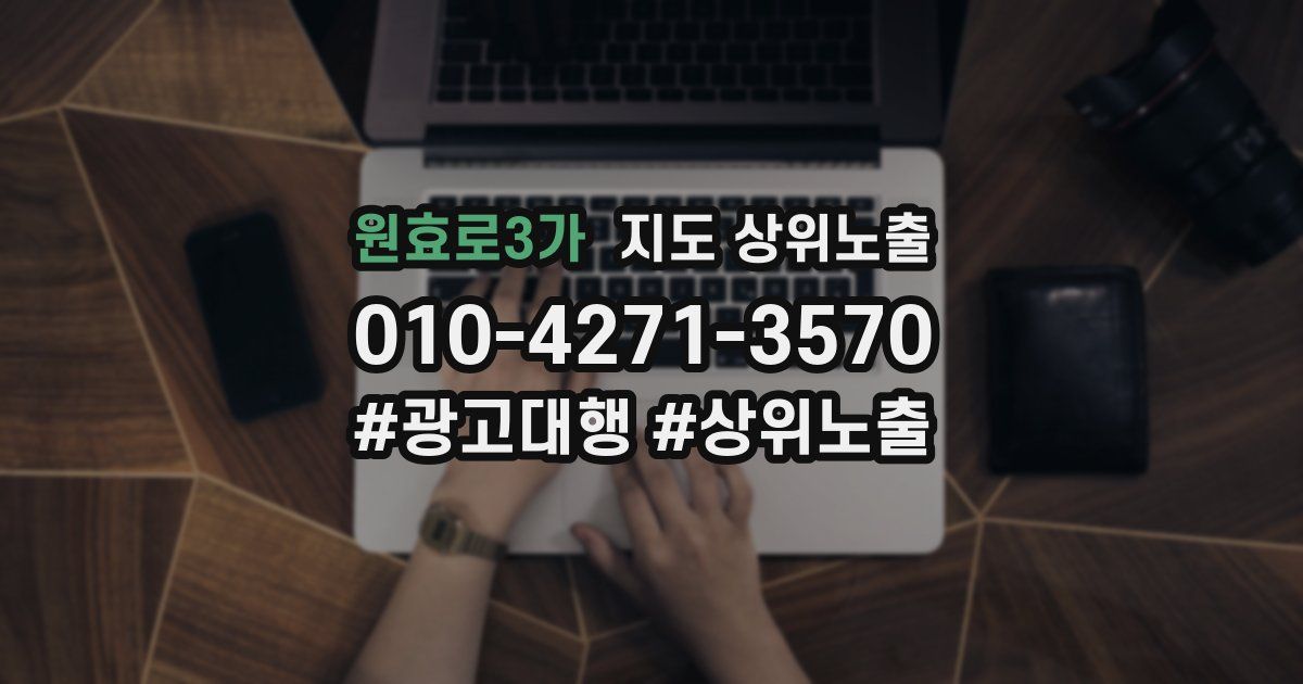 원효로3가 지도 상위 노출