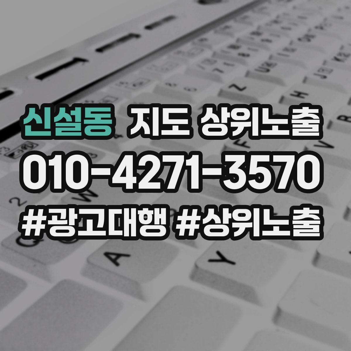 신설동 지도 상위 노출