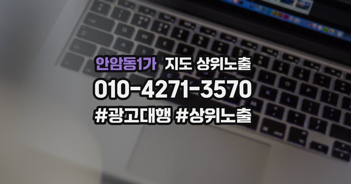 안암동1가 지도 상위 노출
