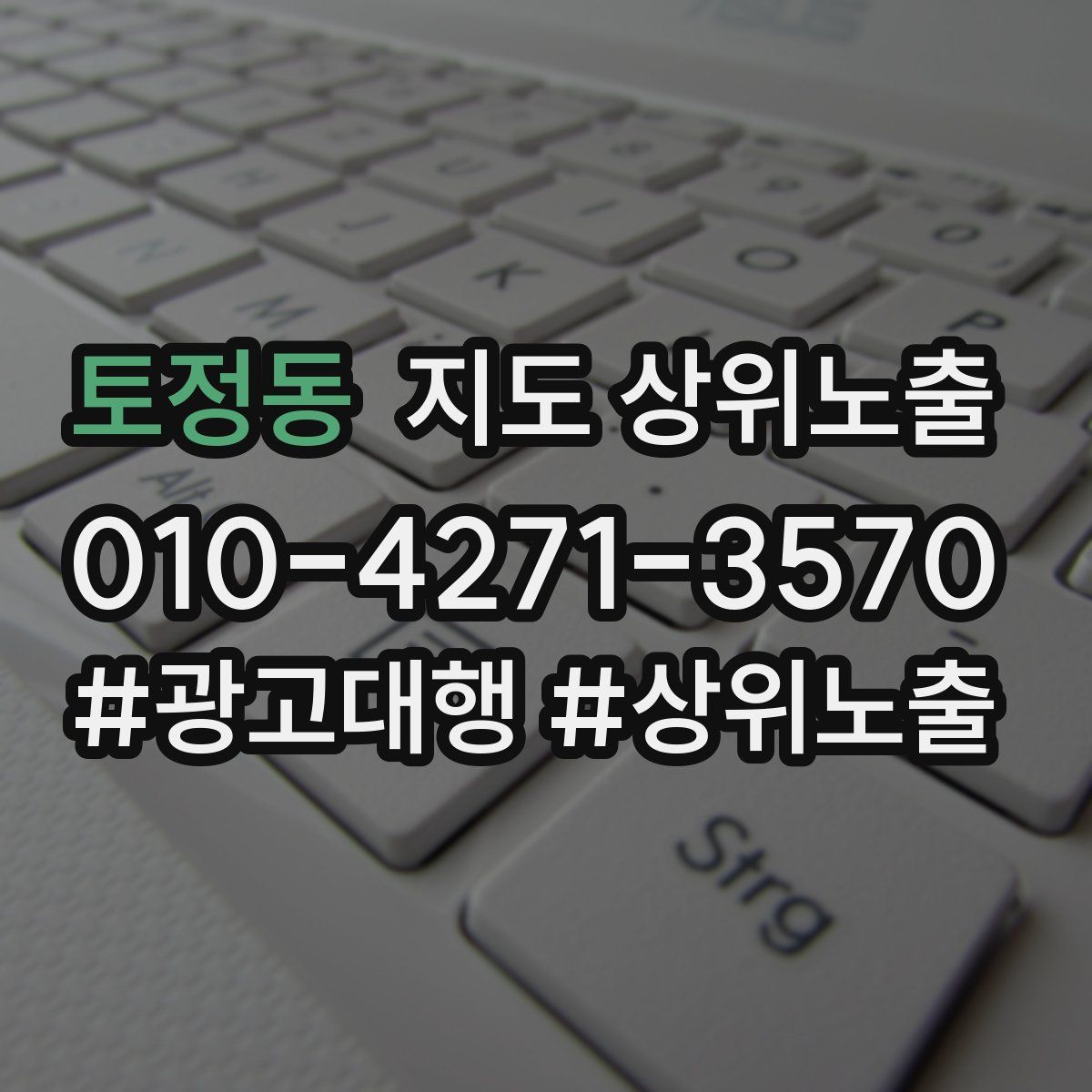 토정동 지도 상위 노출