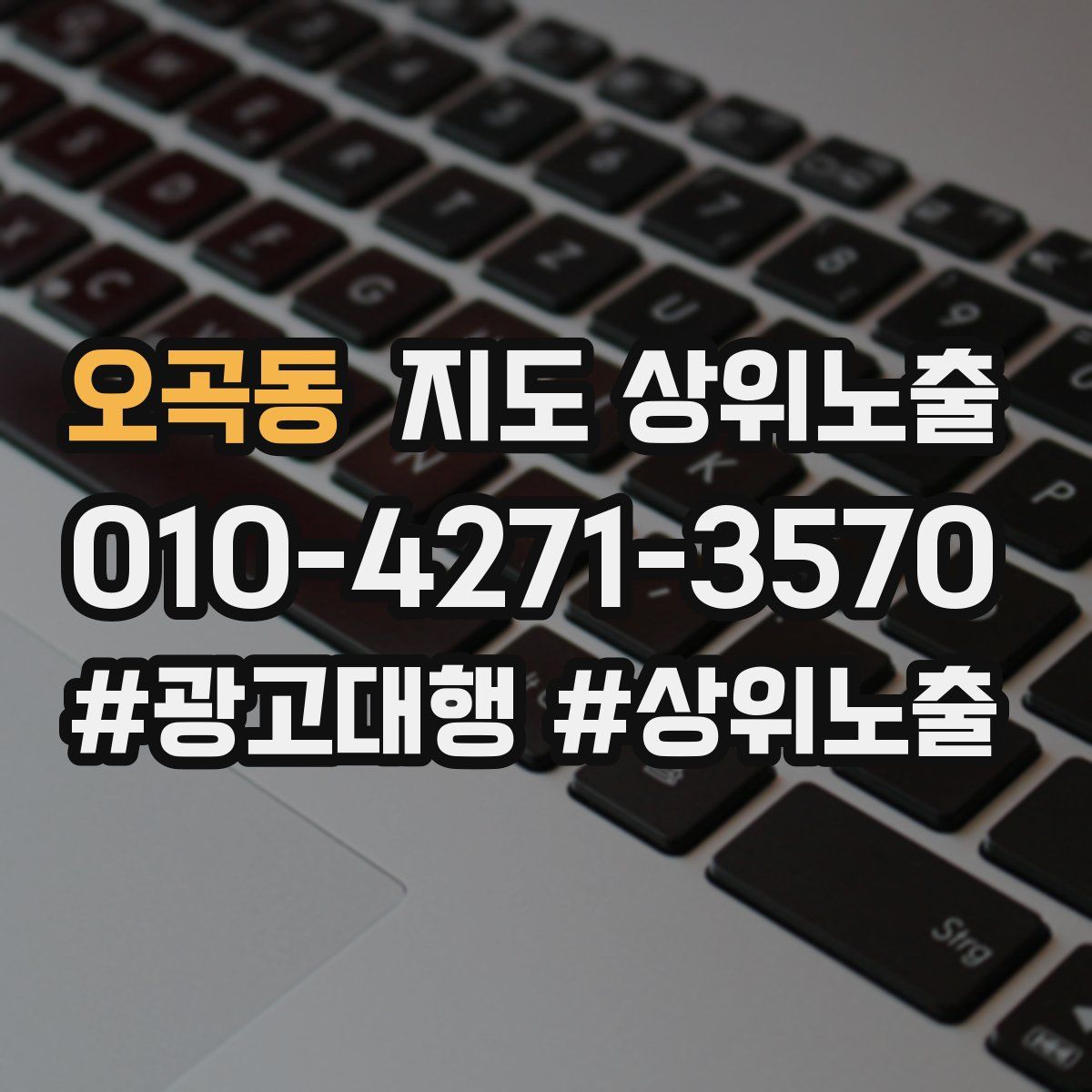 오곡동 지도 상위 노출