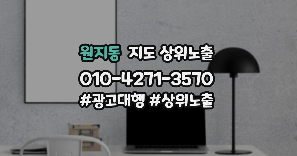 원지동 지도 상위 노출