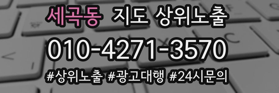 세곡동 지도 상위 노출