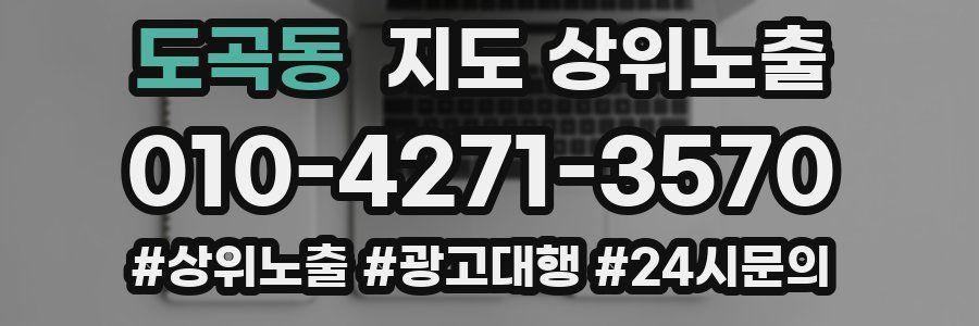 도곡동 지도 상위 노출