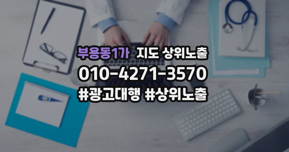 부용동1가 지도 상위 노출