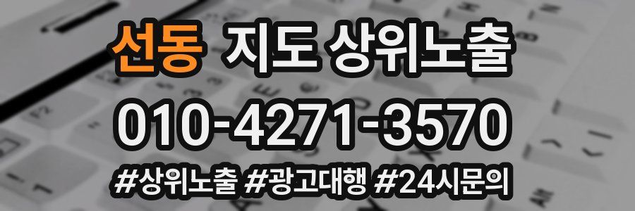 선동 지도 상위 노출