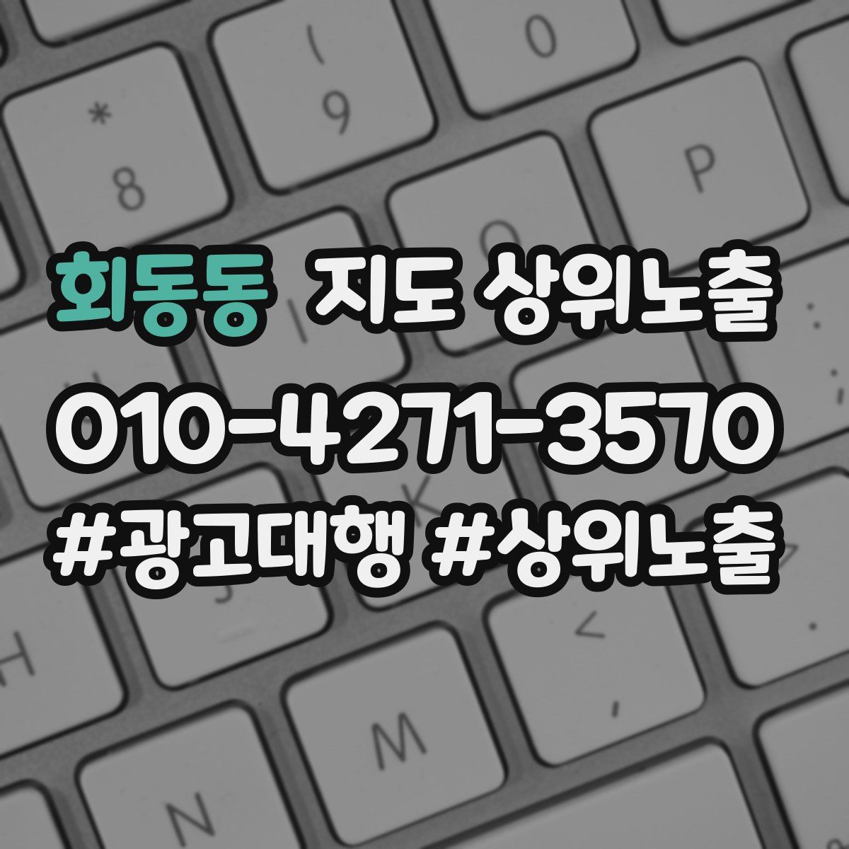 회동동 지도 상위 노출