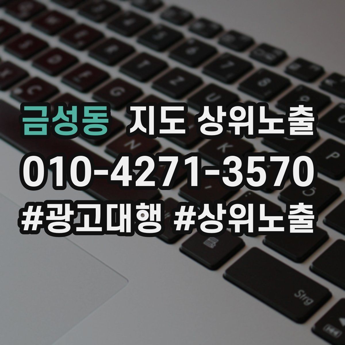 금성동 지도 상위노출 예약형 업종의 필수 정보 5가지
