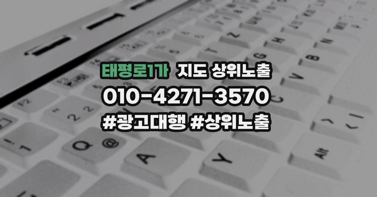 태평로1가 지도 상위 노출