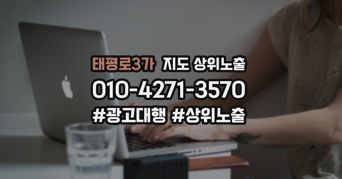 태평로3가 지도 상위 노출
