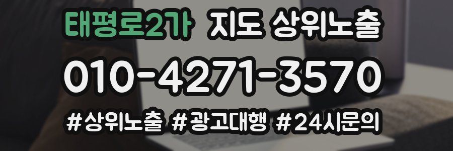 태평로2가 지도 상위 노출