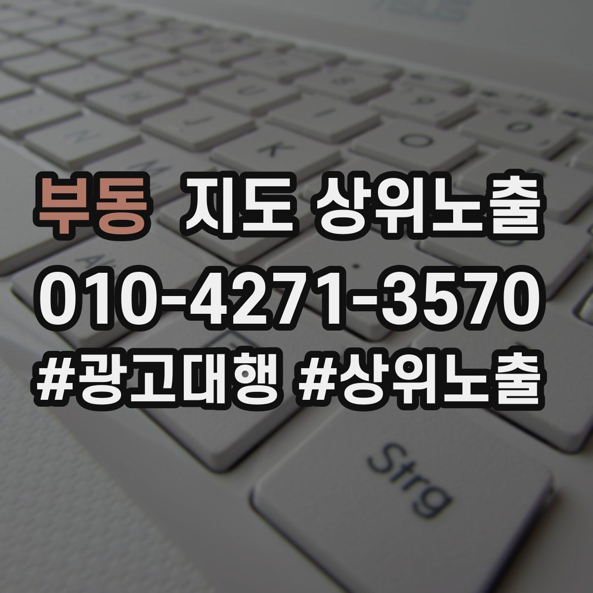 부동 지도 상위 노출