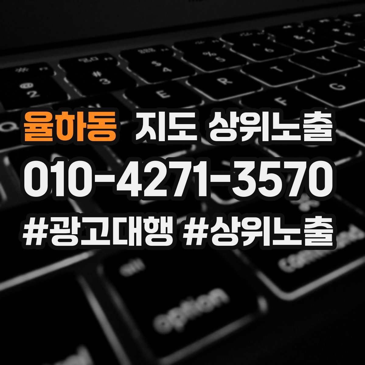 율하동 지도 상위 노출