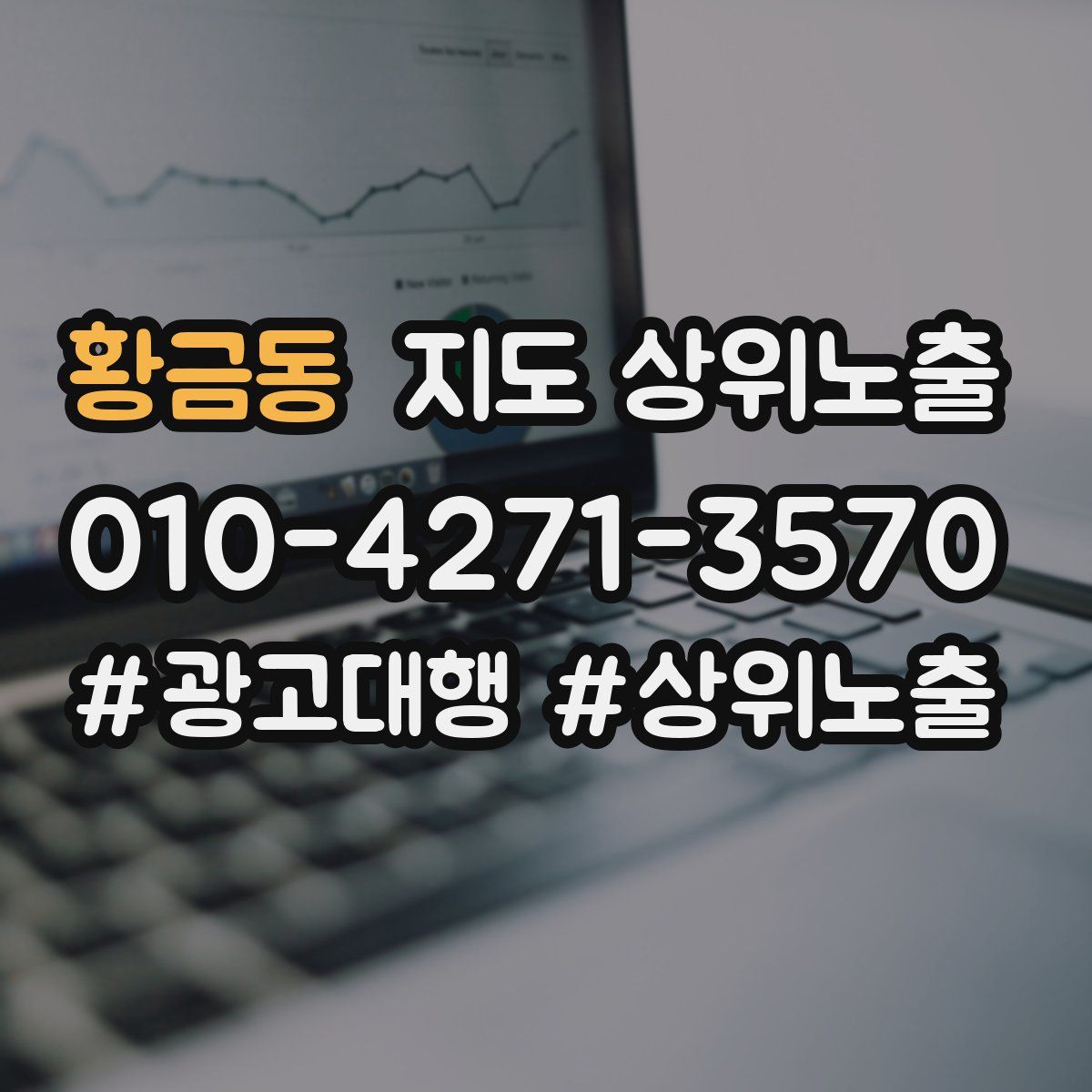 황금동 지도 상위 노출