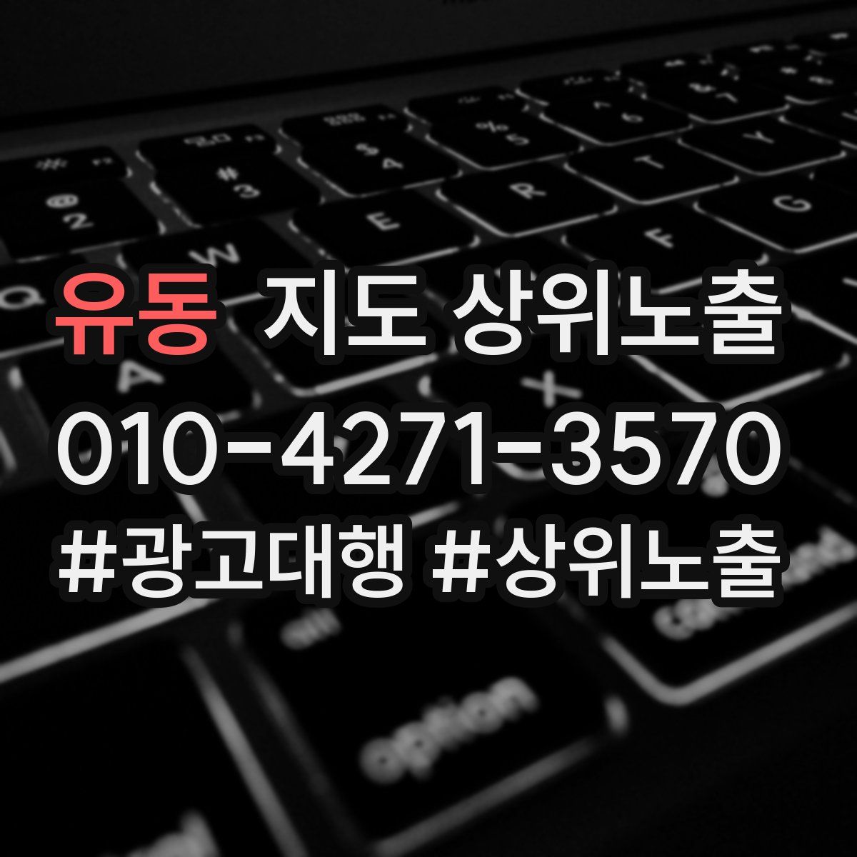 유동 지도 상위 노출