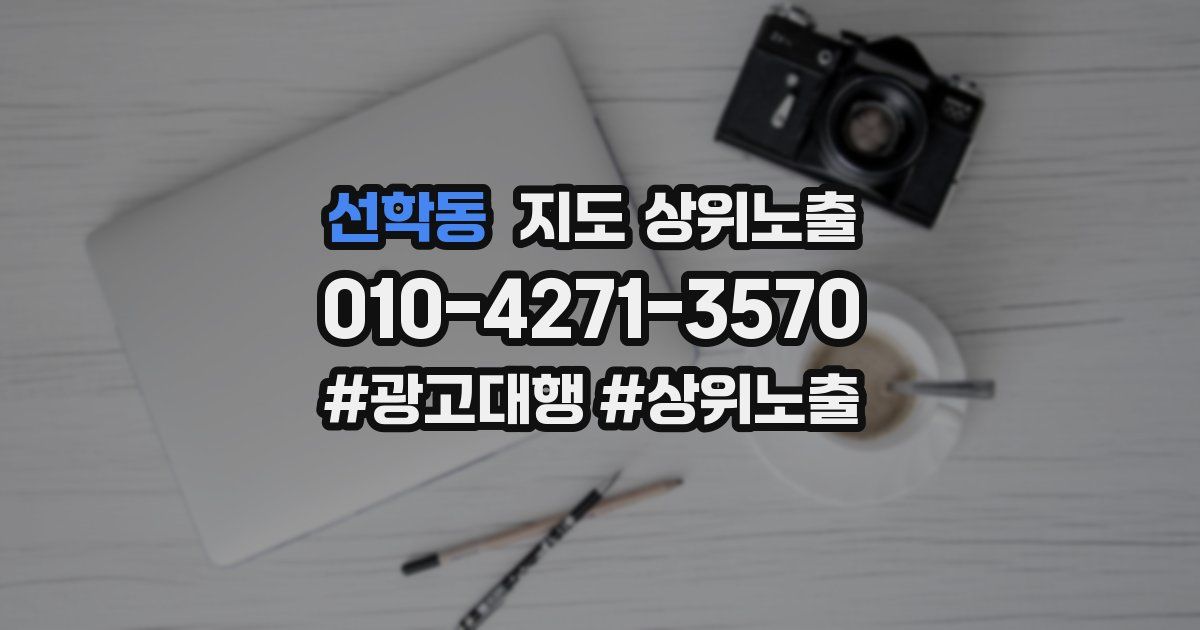 선학동 지도 상위 노출