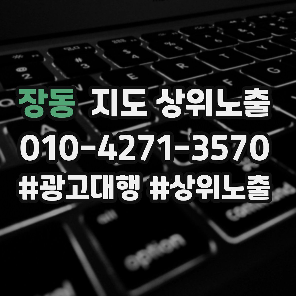장동 지도 상위 노출