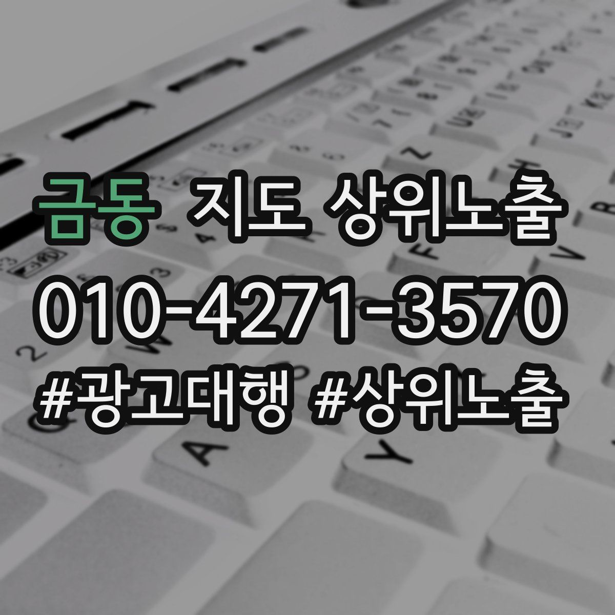 금동 지도 상위 노출