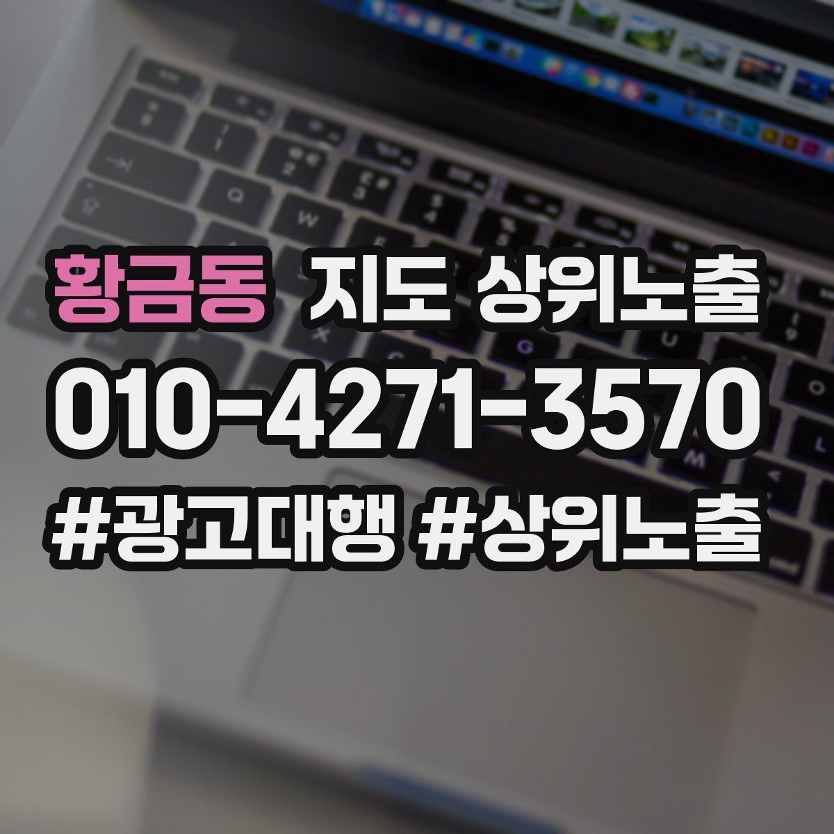 황금동 지도 상위 노출