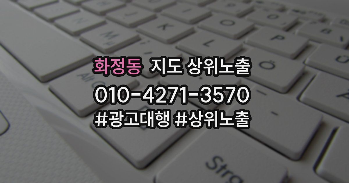 화정동 지도 상위 노출