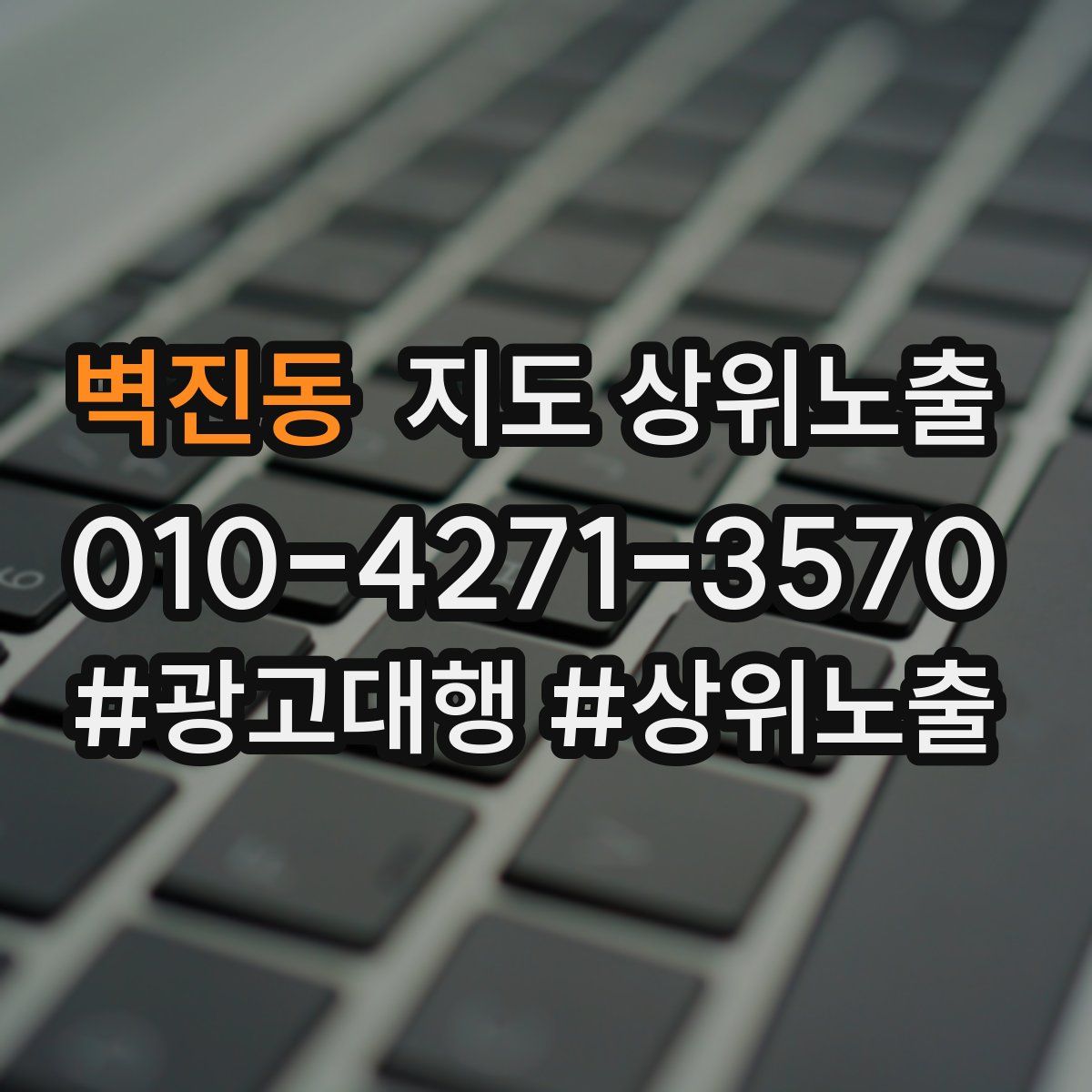 벽진동 지도 상위 노출