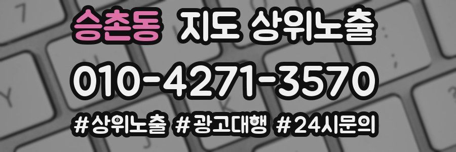 승촌동 지도 상위 노출