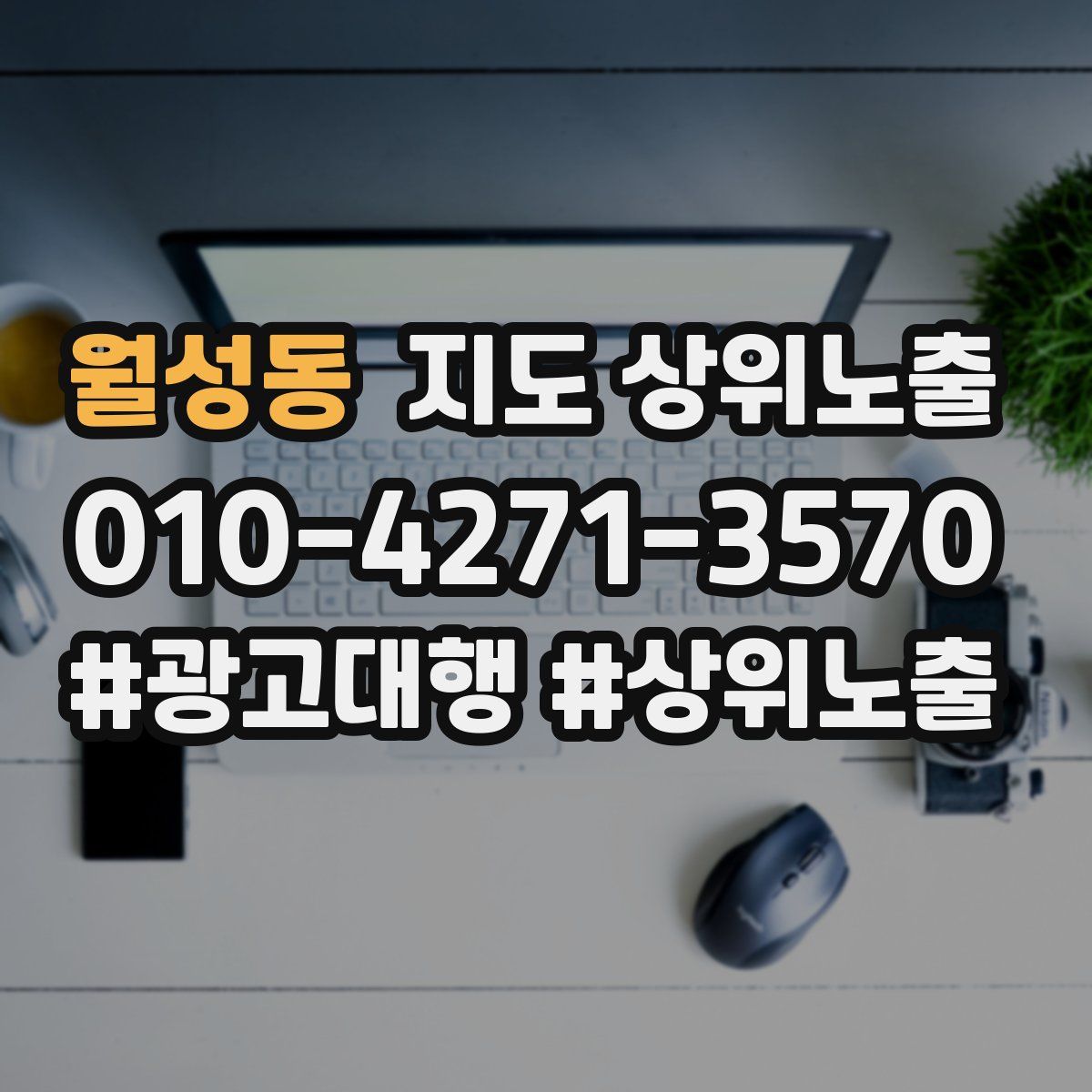 월성동 지도 상위 노출