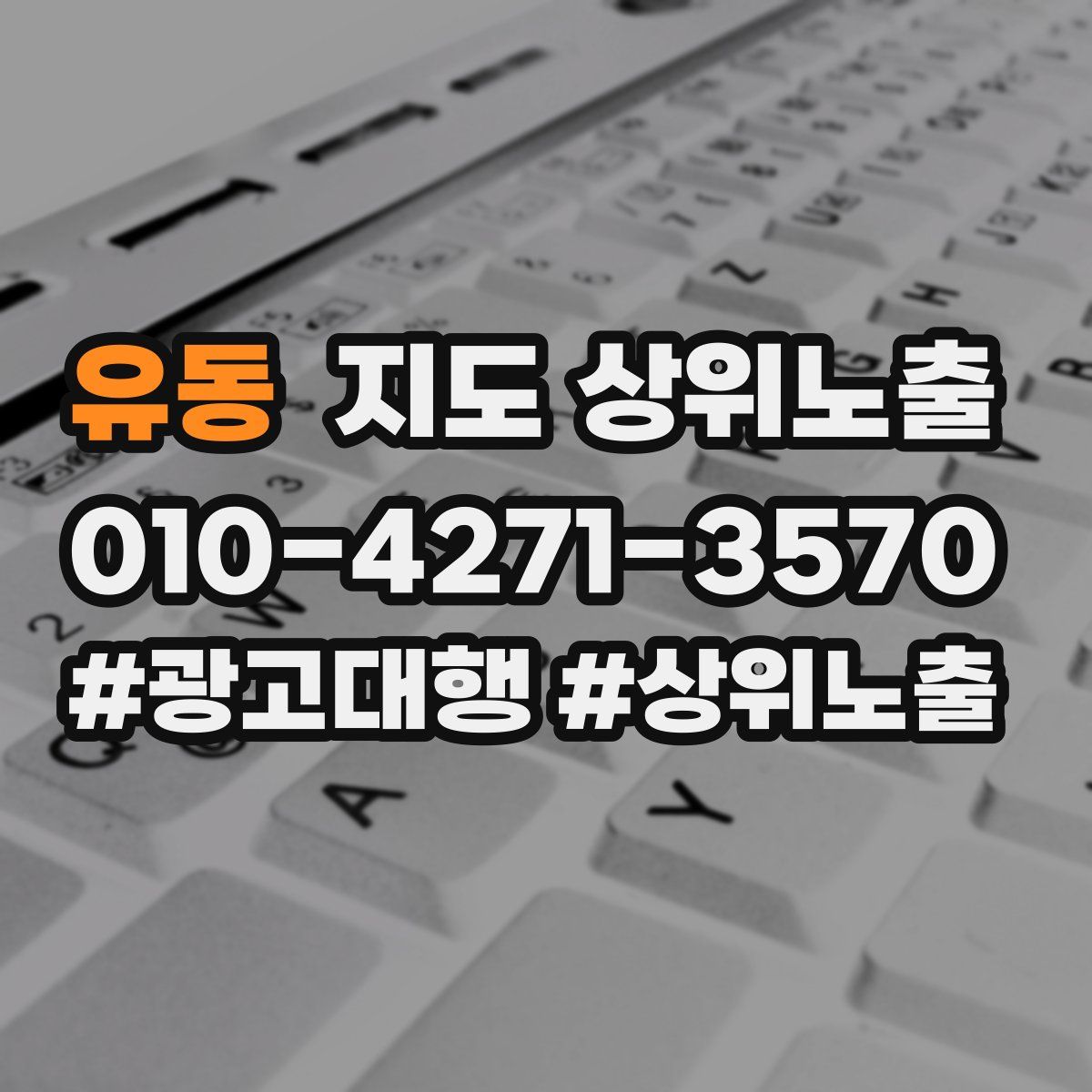 유동 지도 상위 노출