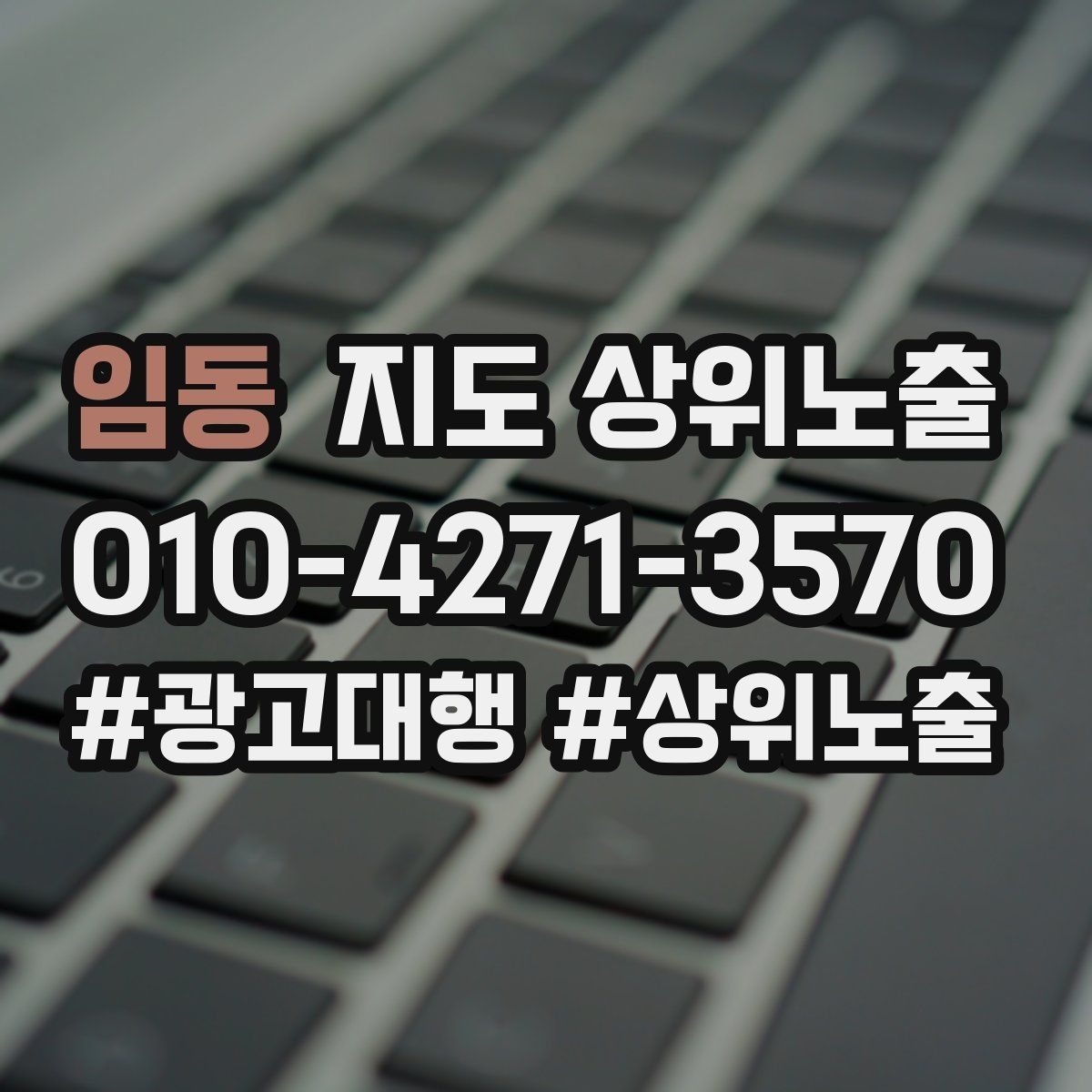 임동 지도 상위 노출