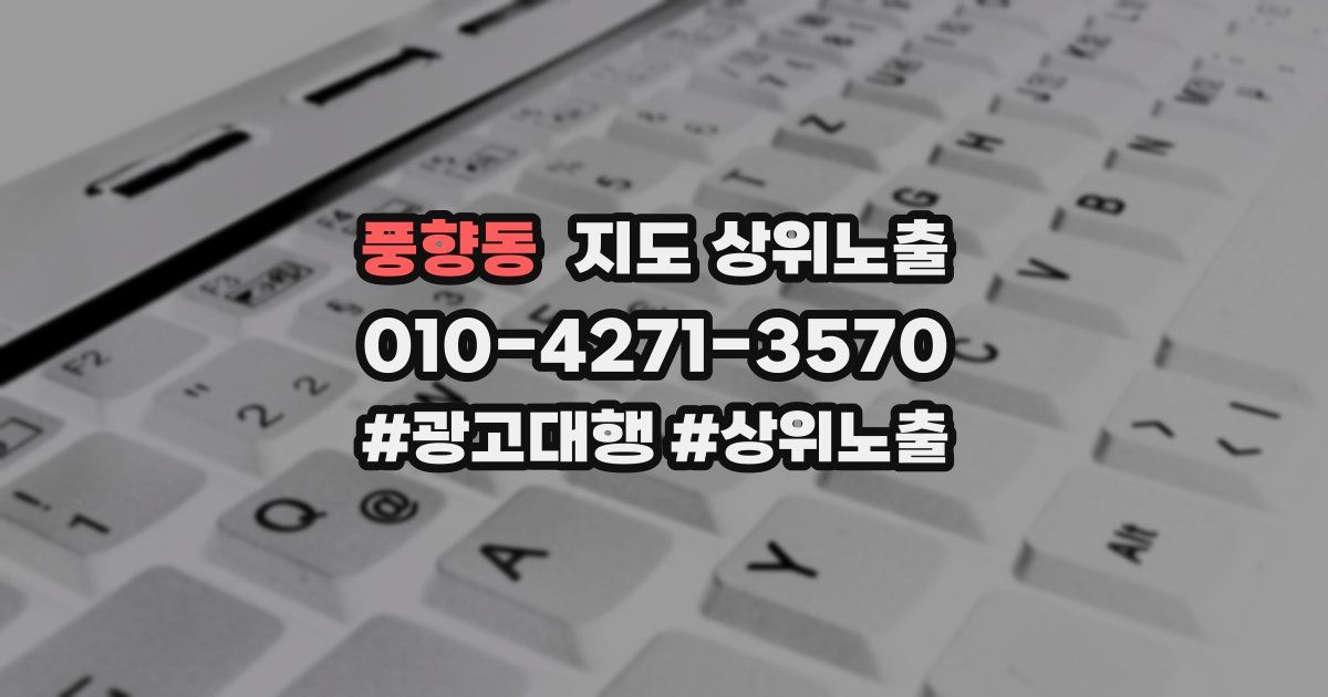 풍향동 지도 상위 노출