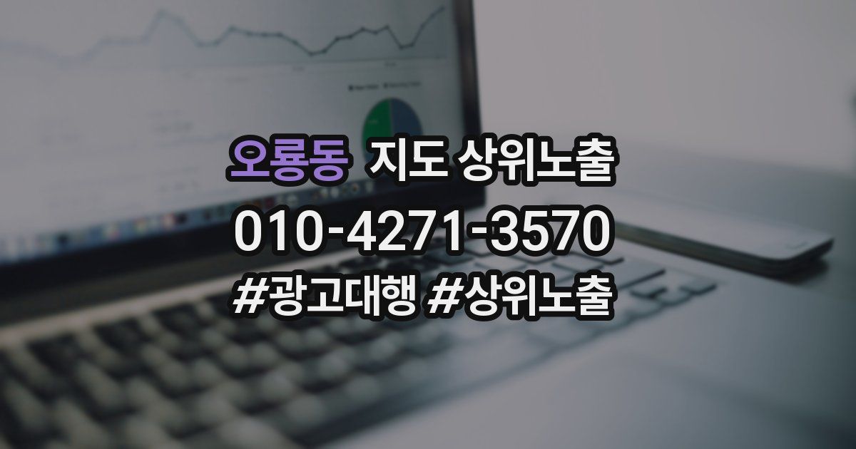오룡동 지도 상위 노출