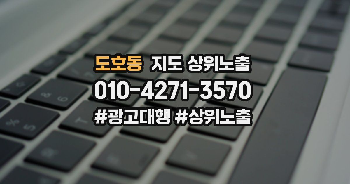 도호동 지도 상위 노출