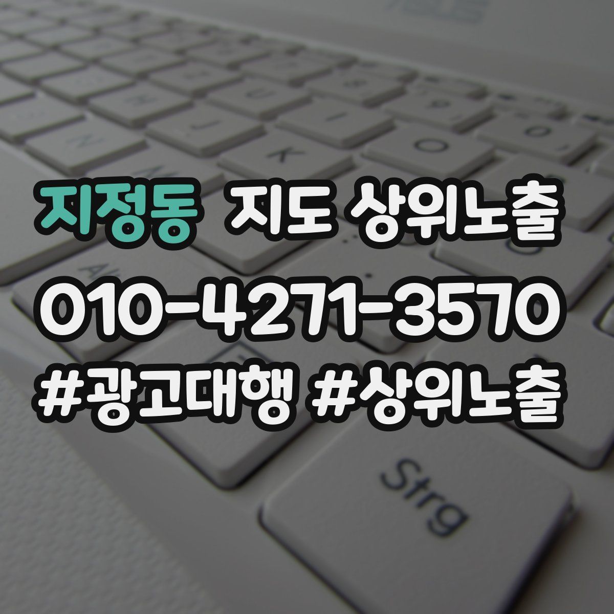 지정동 지도 상위 노출