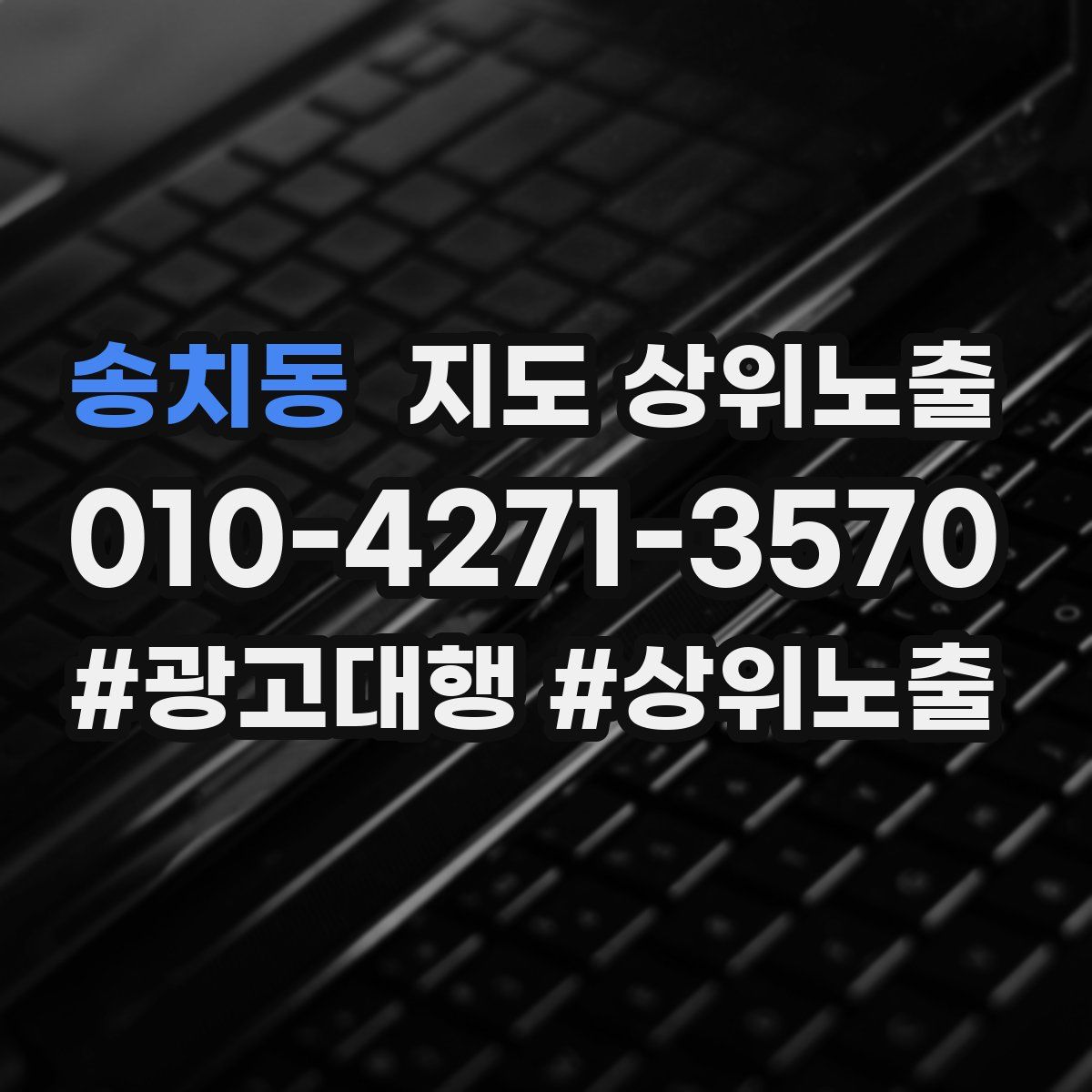 송치동 지도 상위 노출
