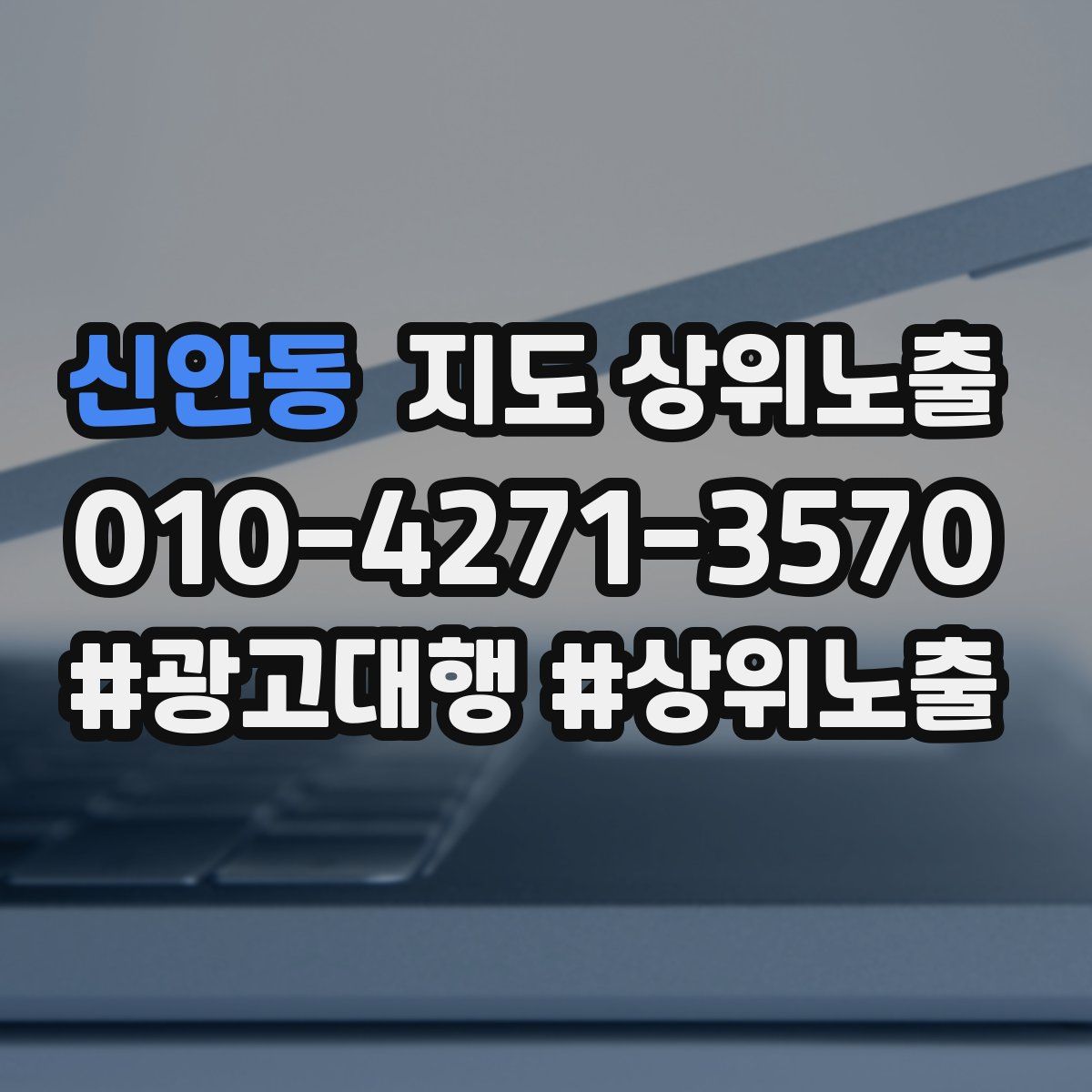 신안동 지도 상위 노출