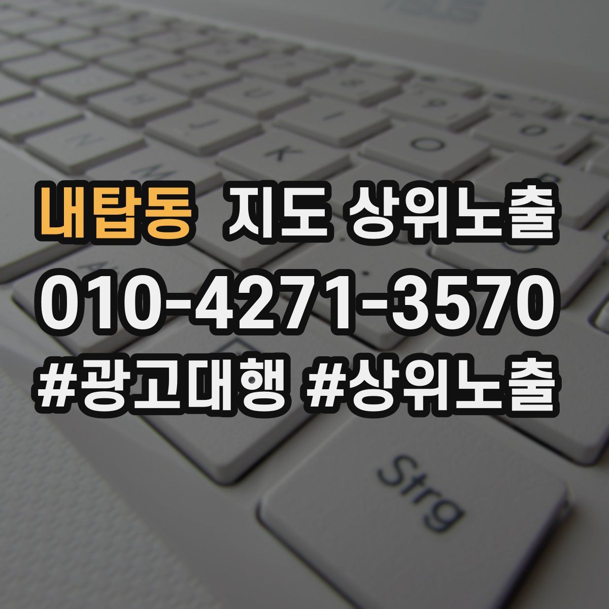 내탑동 지도 상위 노출