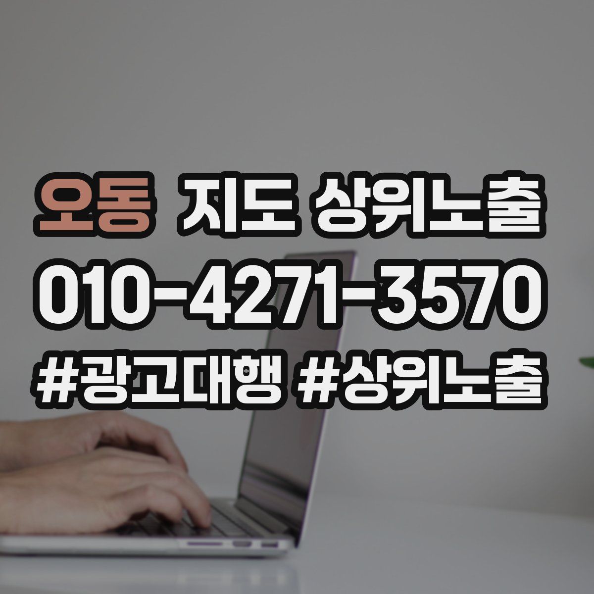 오동 지도 상위 노출