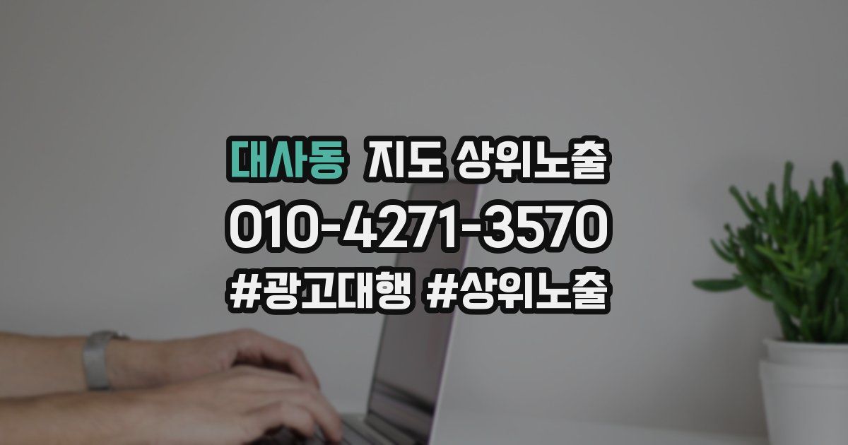 대사동 지도 상위 노출