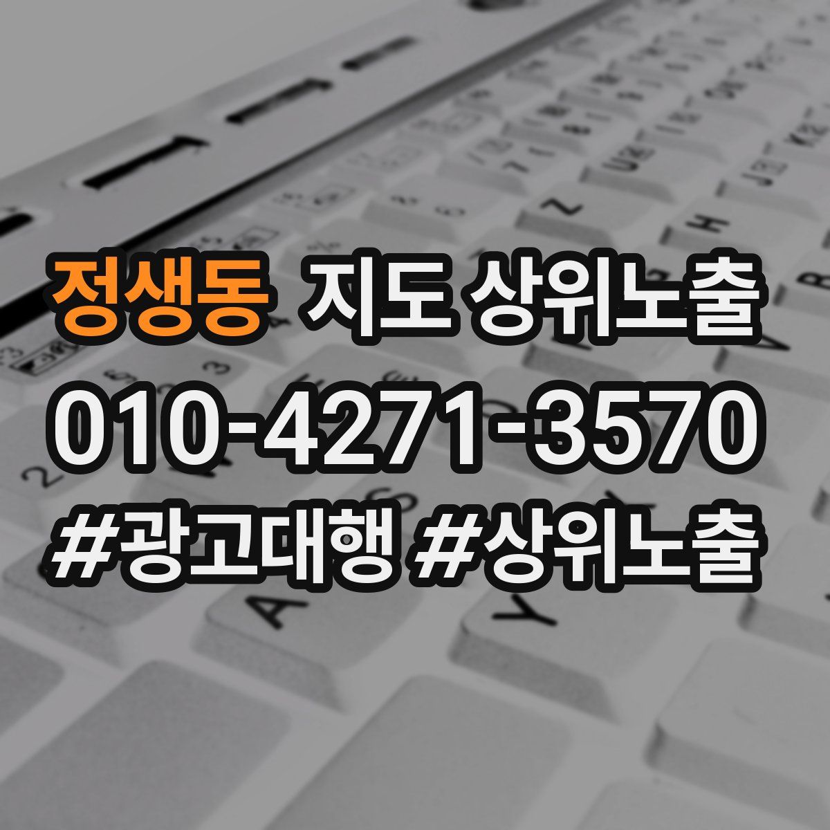 정생동 지도 상위 노출