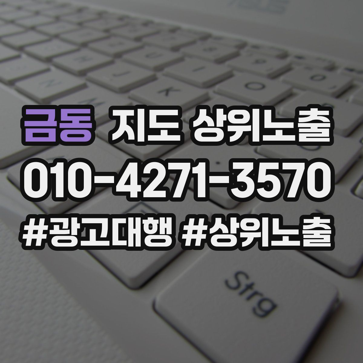 금동 지도 상위 노출