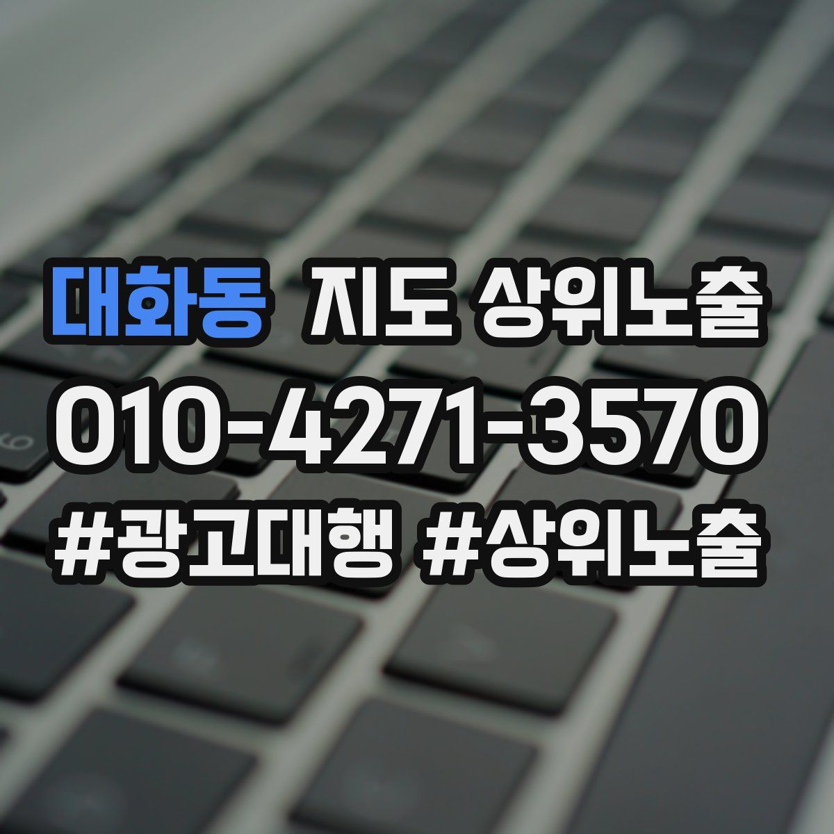 대화동 지도 상위 노출