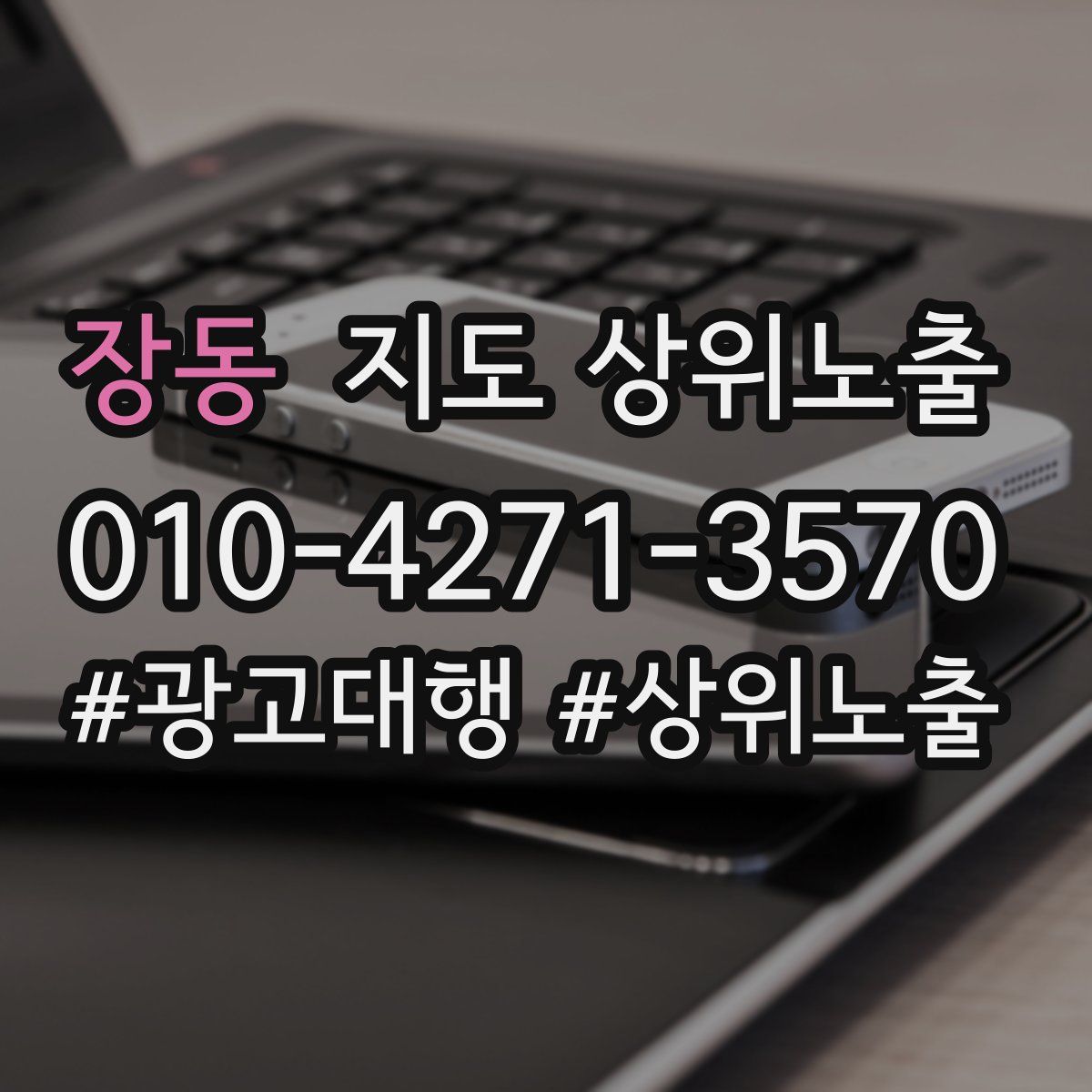 장동 지도 상위 노출