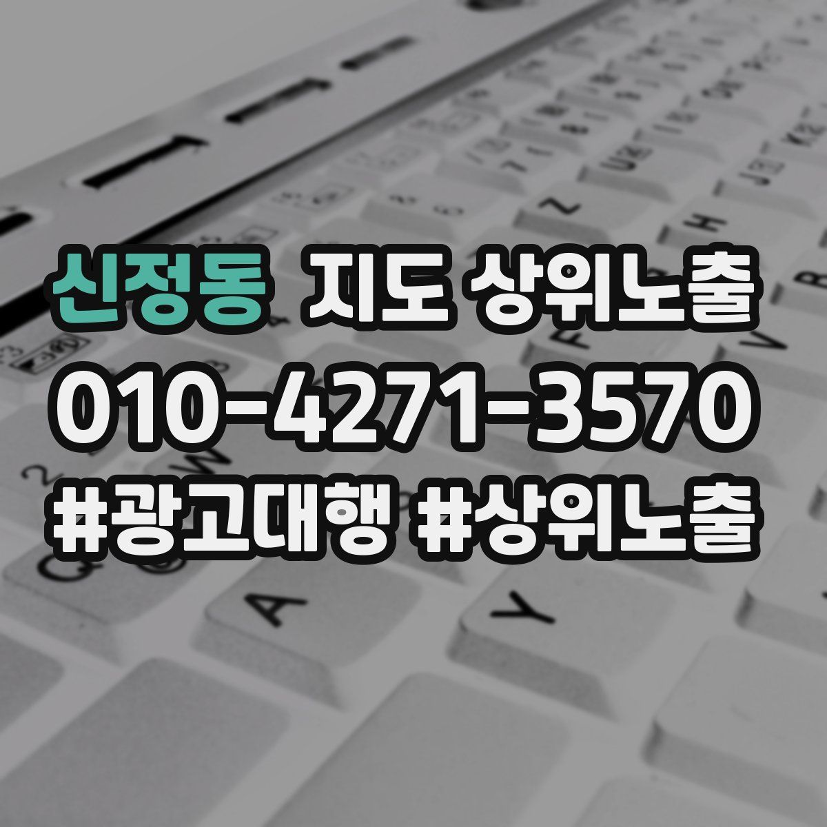 신정동 지도 상위 노출