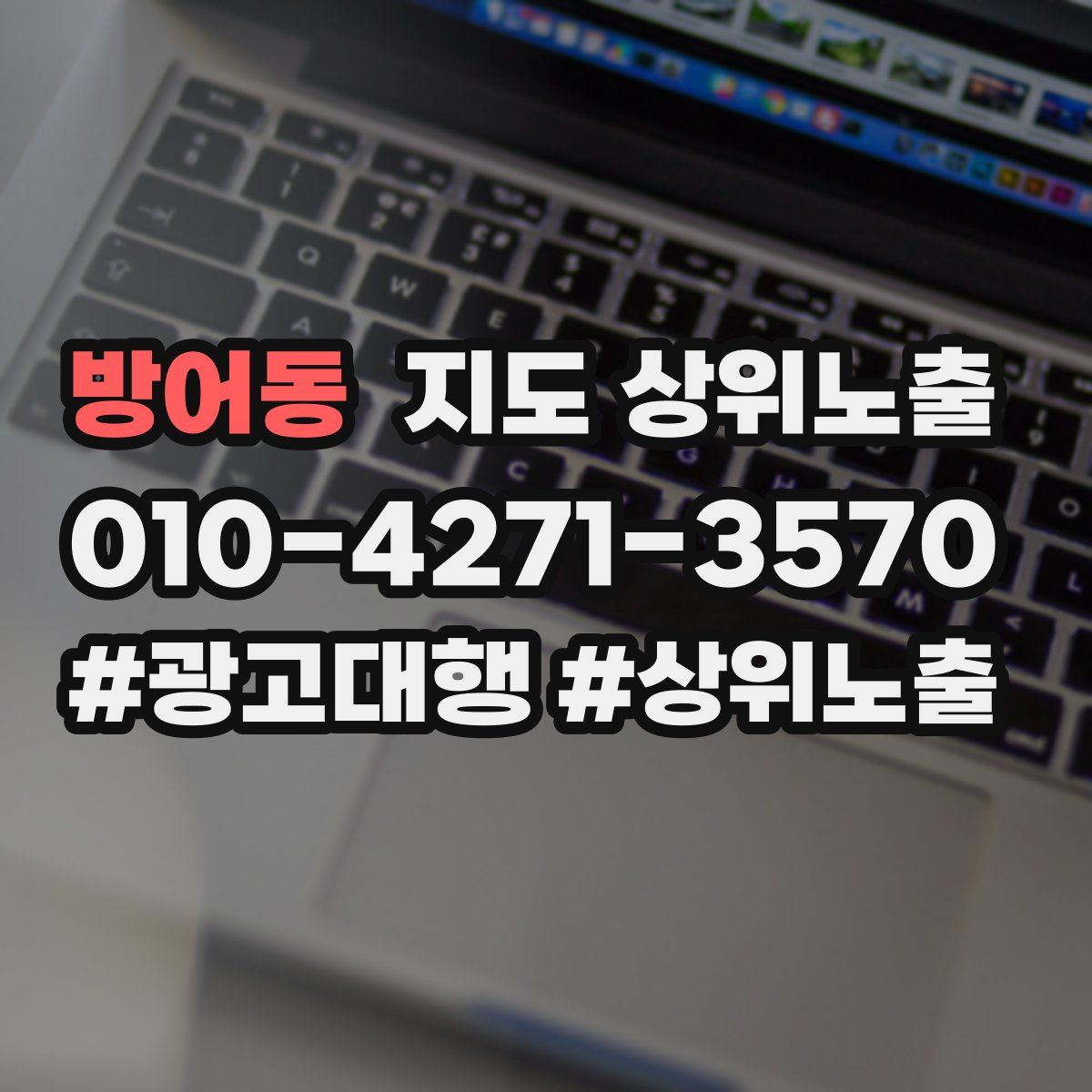 방어동 지도 상위 노출