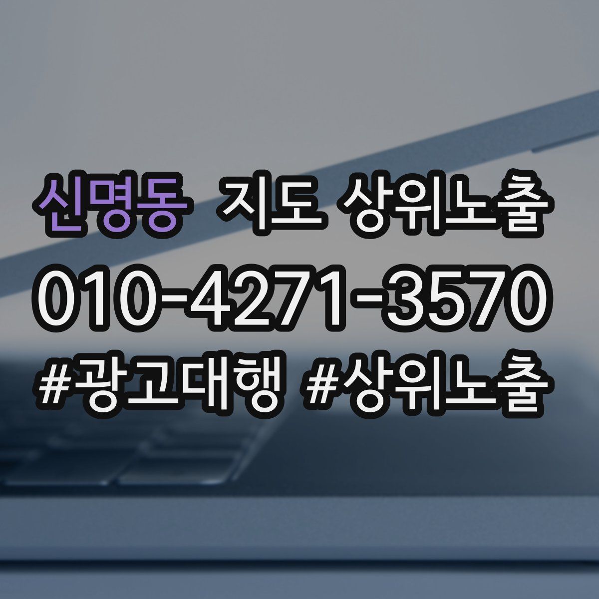 신명동 지도 상위 노출