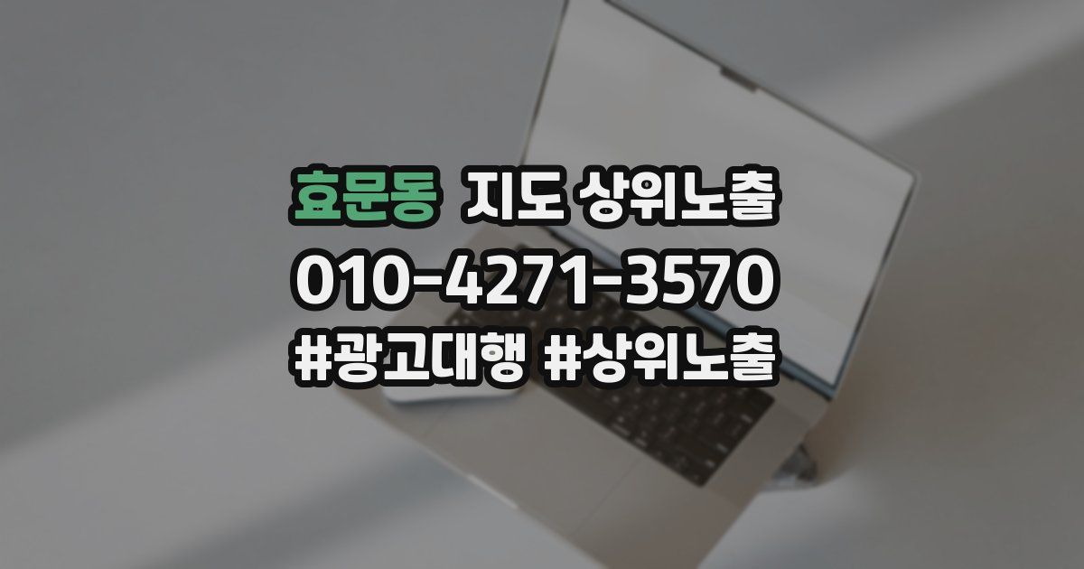 효문동 지도 상위 노출
