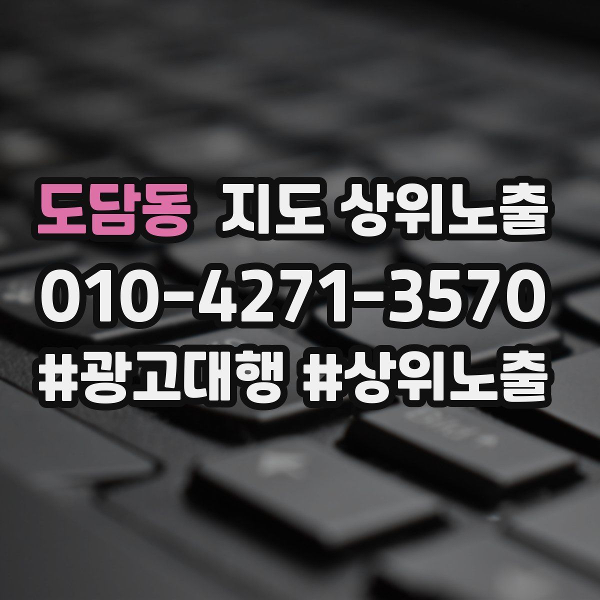 도담동 지도 상위 노출